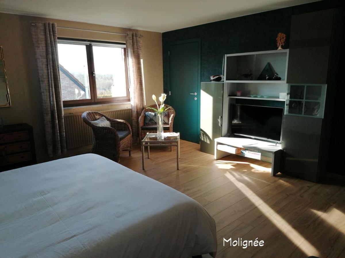 Le Cerisier Bed & Breakfast Bioul Exterior foto
